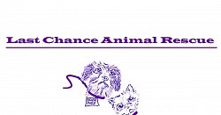 Last Chance Rescue
