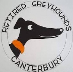 Retired Greyhounds